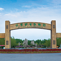 凯发一触即发(中国)官方网站